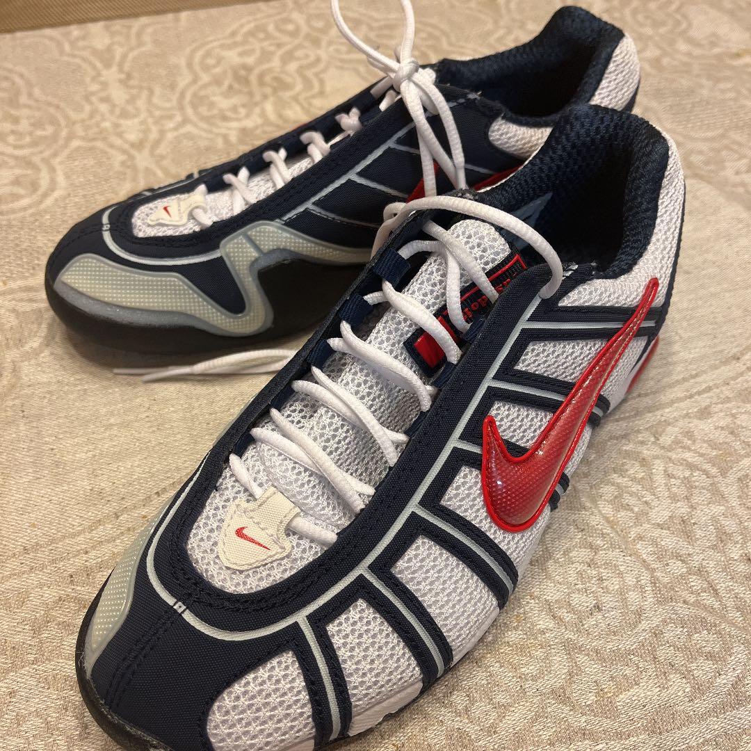 日光陽明門秋景図】朝見香城 970 日光東照宮 共箱 掛け軸 肉筆