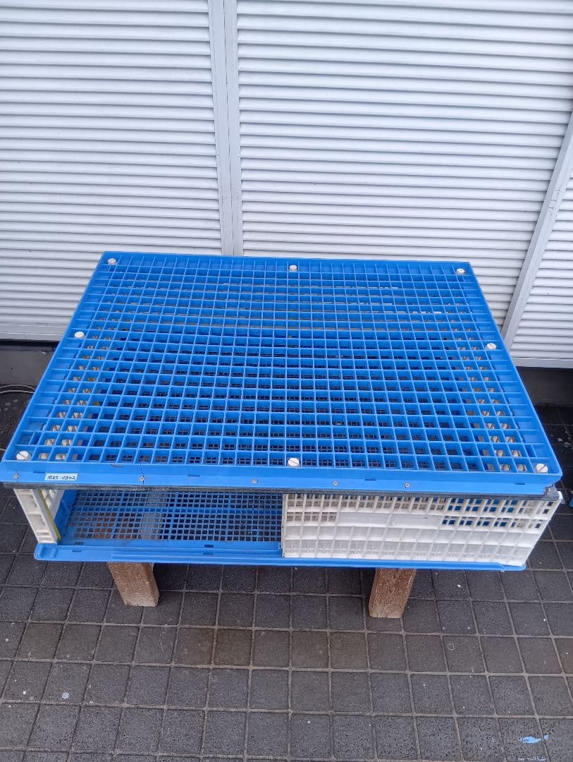 放鳩籠コンテナレース鳩移送搬送輸送愛鳩の友コンテナーキャディーB