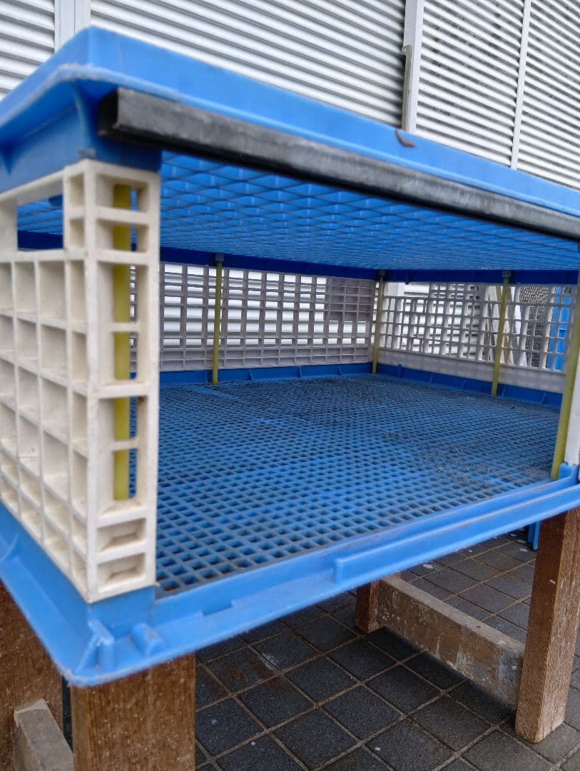 放鳩籠 コンテナ レース鳩 移送 搬送 輸送 コンテナー キャディー 愛鳩の友