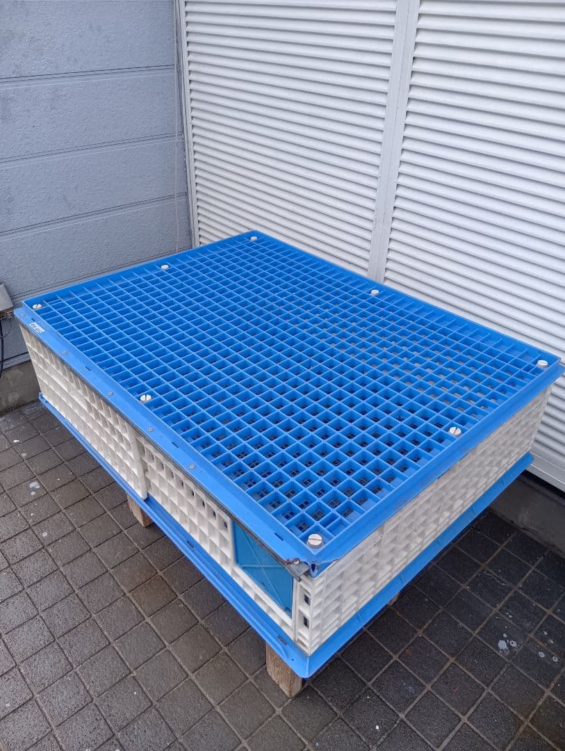 放鳩籠 コンテナ レース鳩 移送 搬送 輸送 コンテナー キャディー 愛鳩の友