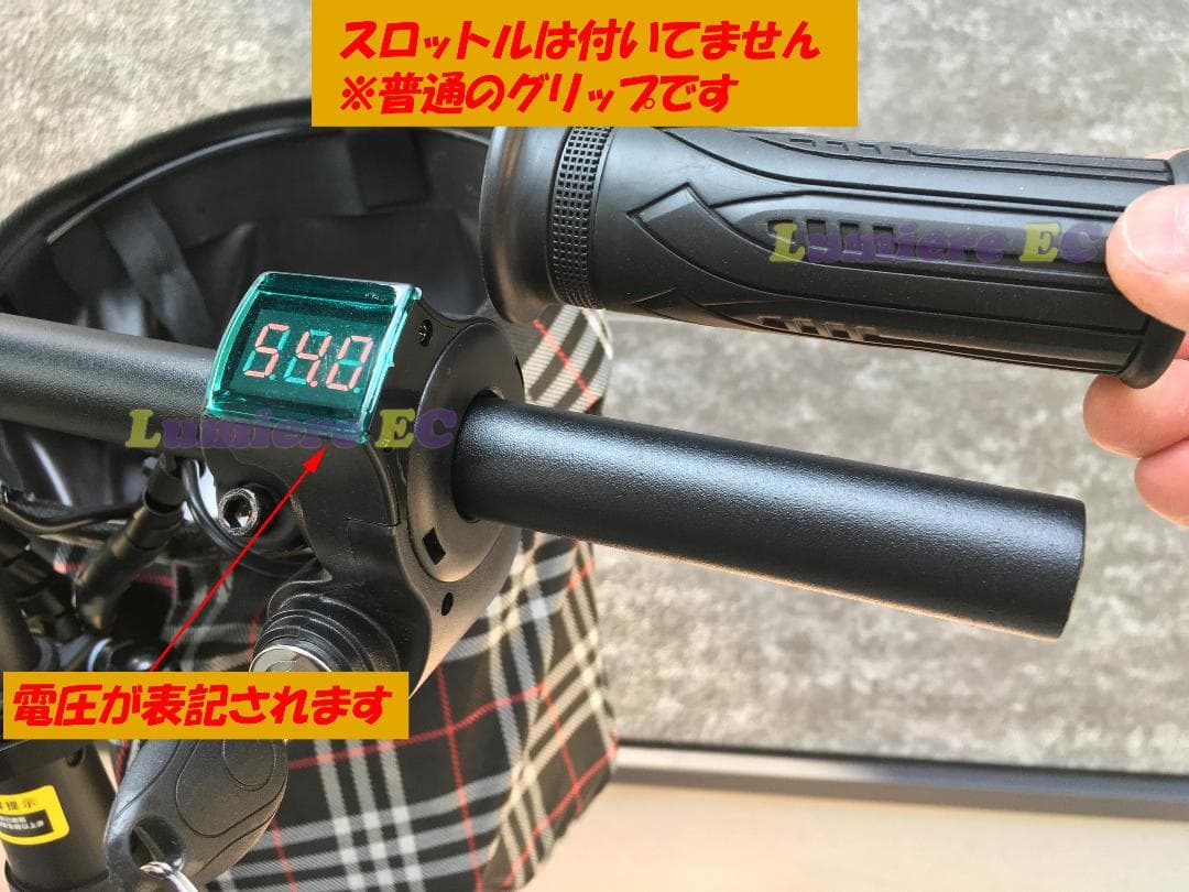 電動アシスト自転車 48V/6ah 公道走行可 防犯付き アシスト 電動自転車