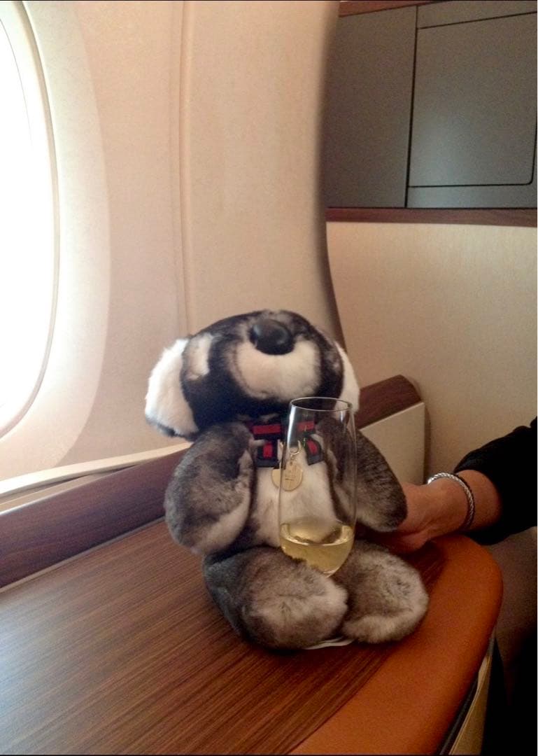 GUCCI(グッチ) コアラぬいぐるみ シドニー限定｜GUCCI(グッチ) コアラ