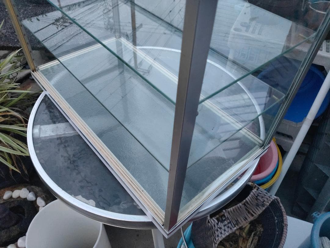 陳列ガラスショーケース☆w600x310x435☆棚板2枚