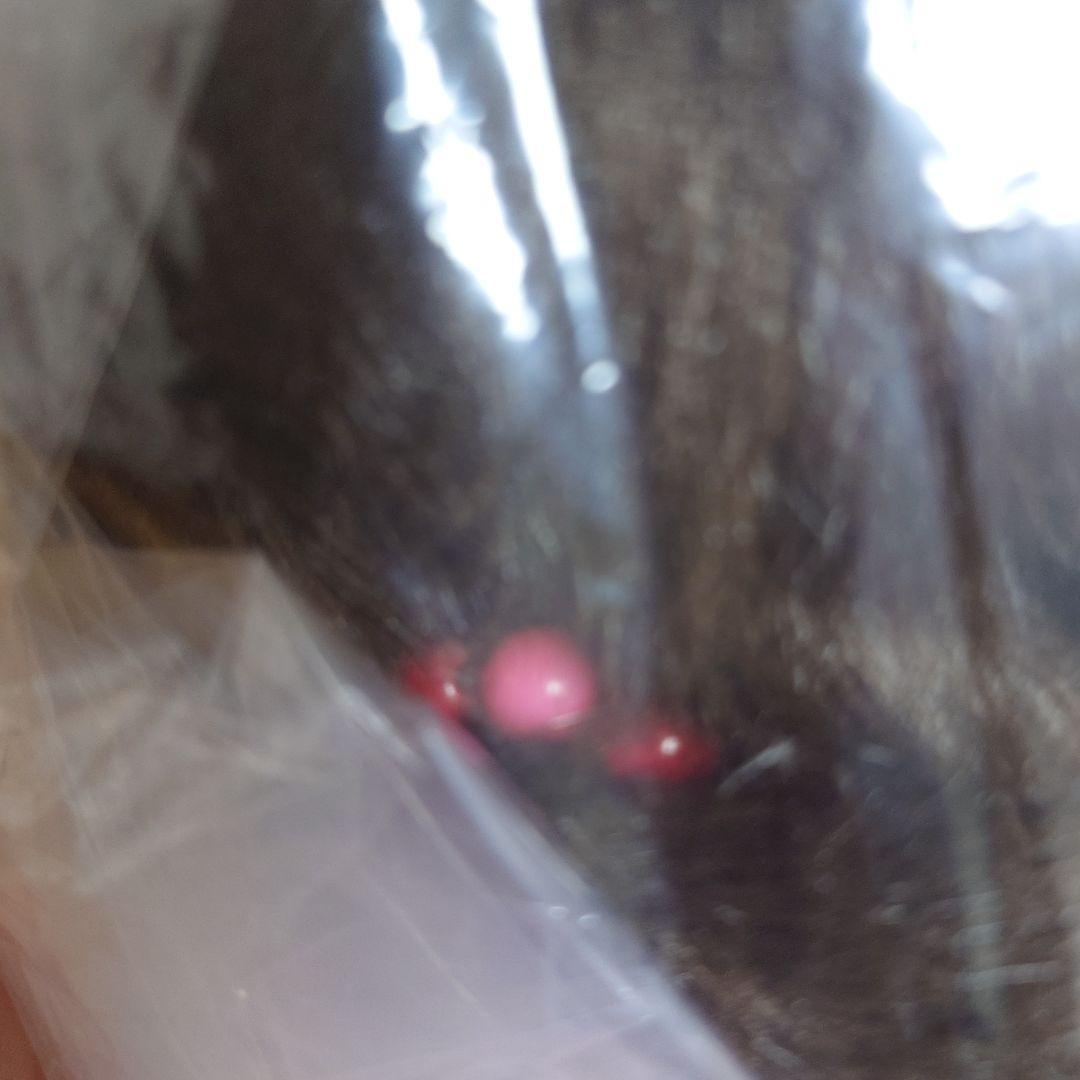 となりのトトロ♡メイちゃん ぬいぐるみ　ビッグ 森からの贈り物 サンアロー