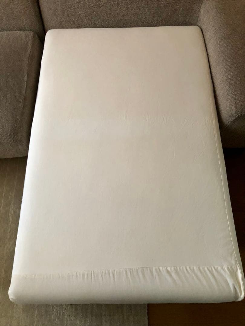 【大幅値下げ！】 NOYES ノイエス カウチソファ