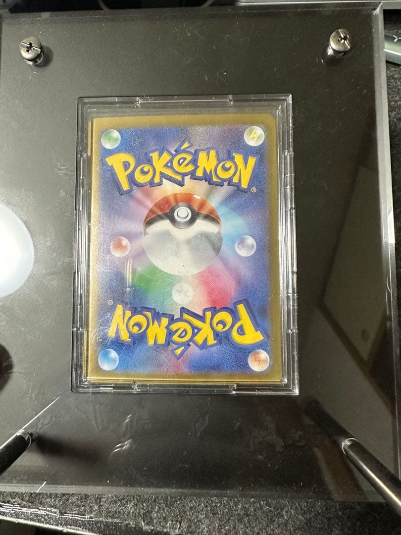 ブラッキーex SAR テラスタルフェスex ケース付き！