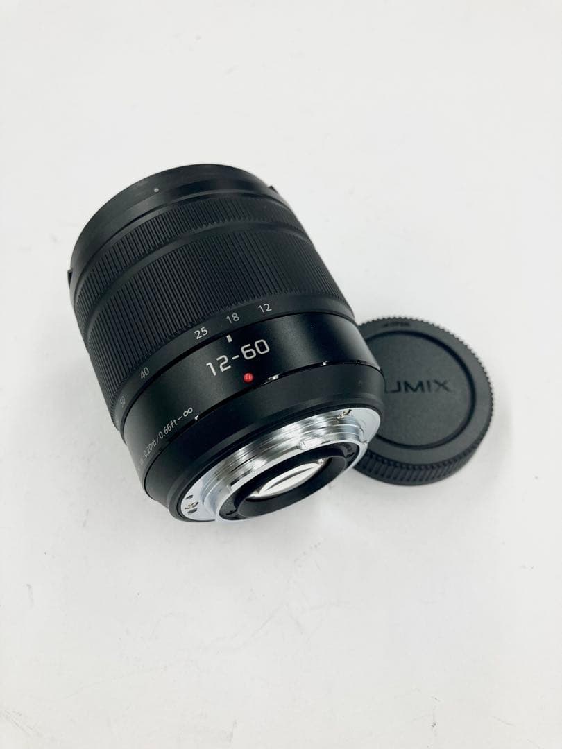レンズ(ズーム) Panasonic LUMIX G VARIO 12-60mm F3.5-5.6