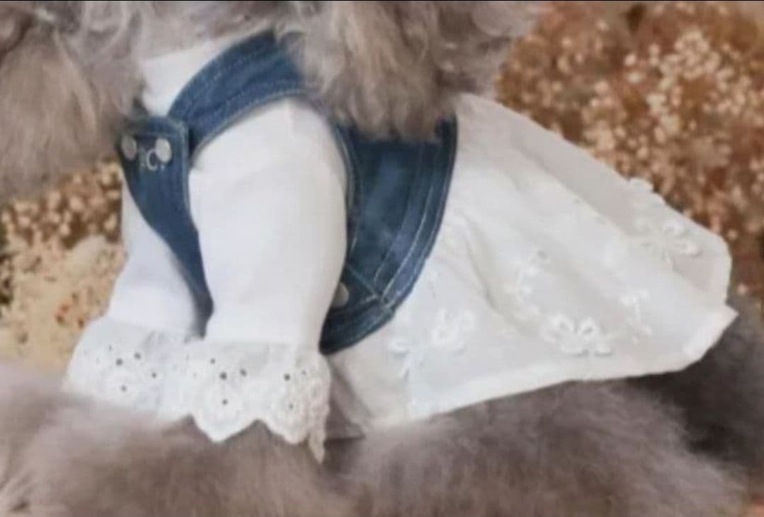 新品　PP* closet　Fleur Denim Wavy Pocket Jeans Blue Denim – GOLF le FLEUR*