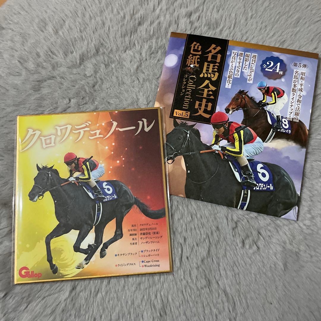 新作】名馬全史色紙コレクション Vol.5 クロワデュノール 北村 友一