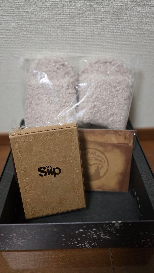 Siip / ガイア【完全生産限定盤】 GOODS ダウンロードカード‪なし siip‬