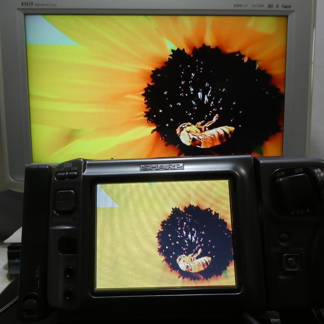 動作良好 シャープ VL-DC1 MiniDV ビデオカメラ DVD化に最適 !