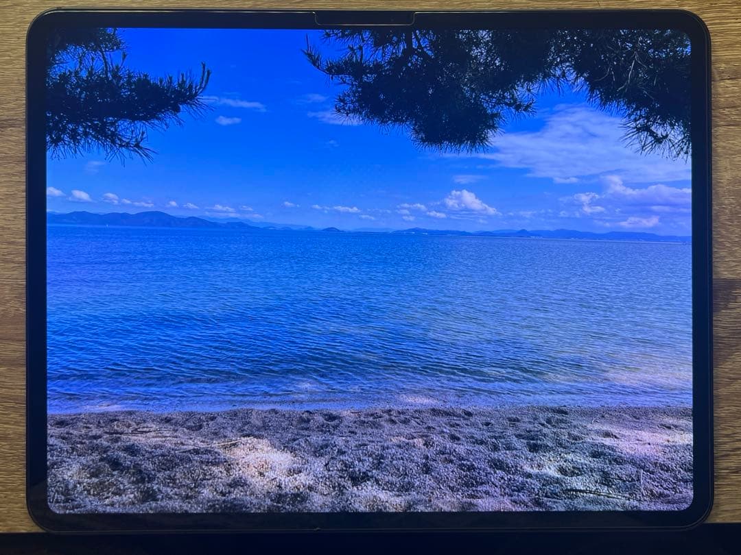 美品】iPad Pro M4 13インチ 1tb wifi 純正pencil付