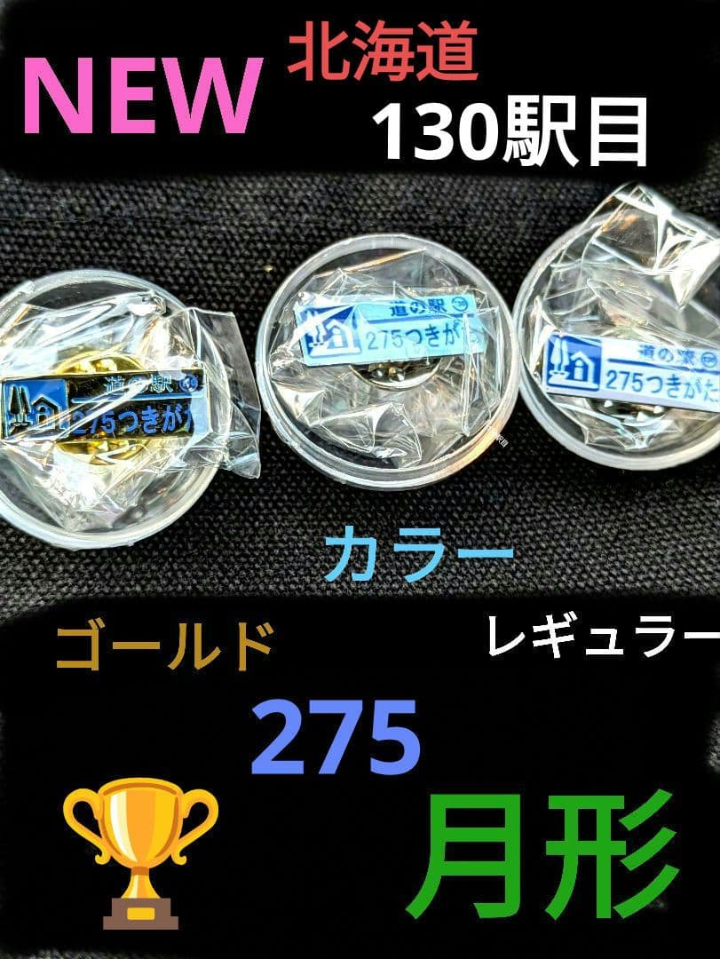 北海道道の駅ピンズゴールドピンズ2024年版 99種類早い物勝ち✨