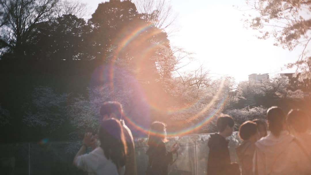 富士フイルムXマウント MF 単焦点レンズ3本セット