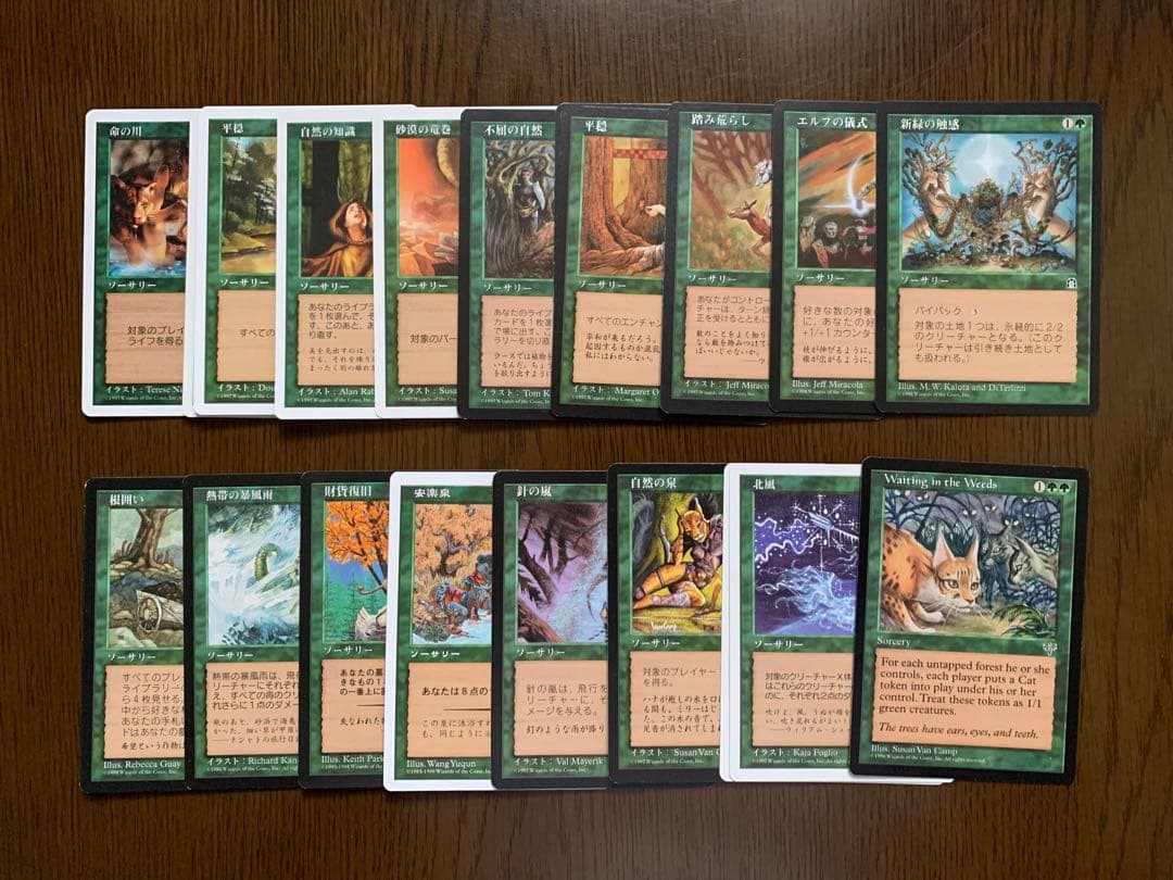 MTG 属性緑 まとめ販売