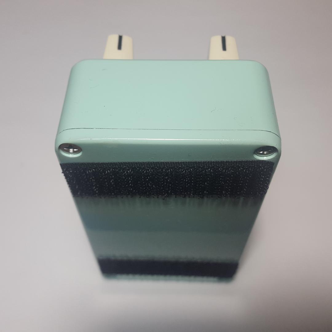 ギター ANIMALS PEDAL FISHING IS AS FUN AS FUZZ