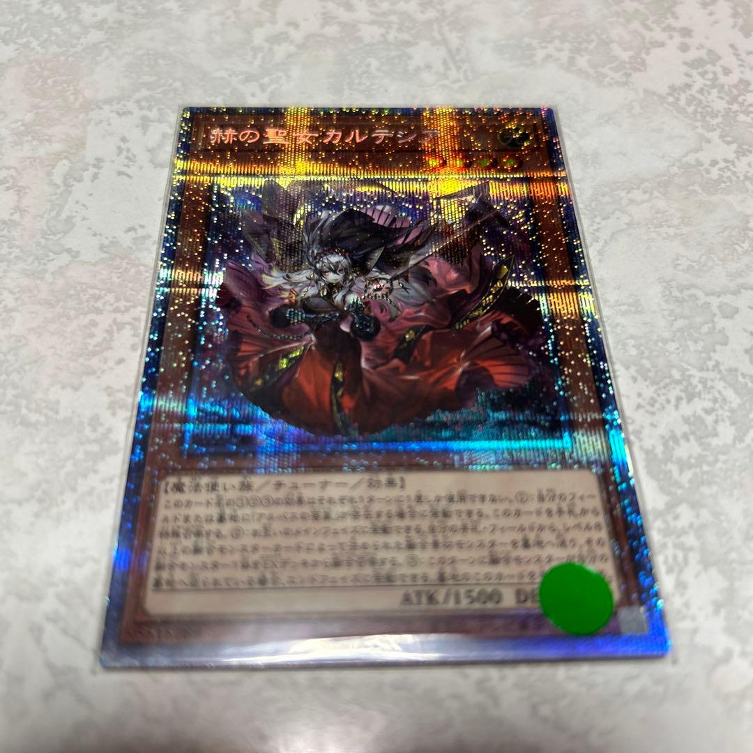 遊戯王　白の聖女エクレシア　教導の聖女エクレシア　赫の聖女カルテシア　５枚セット