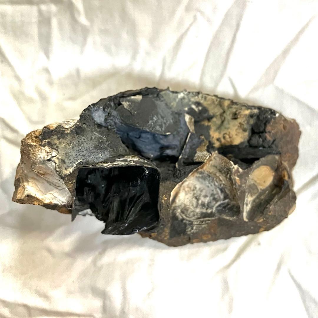 希少 ヴィヴィアナイト シェルフォッシル 藍鉄鉱 貝化石 原石 標本 72g