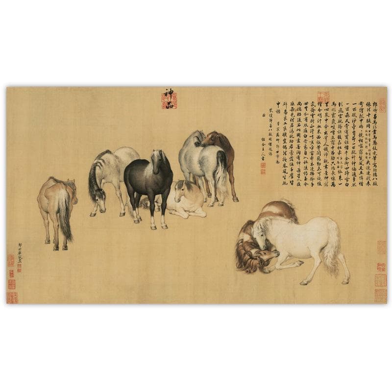 h13# 八骏图 中国古書画 画家郎世宁(清) 神品