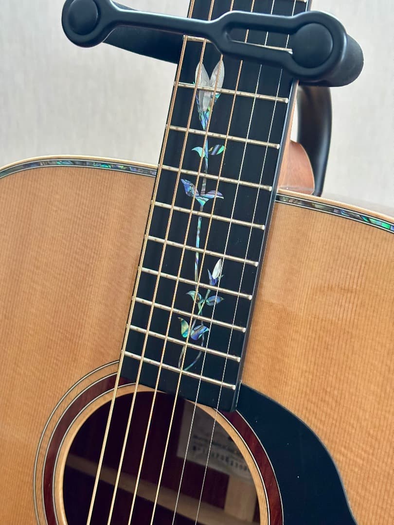 MORRIS GUITARS M-104PDK モーリス