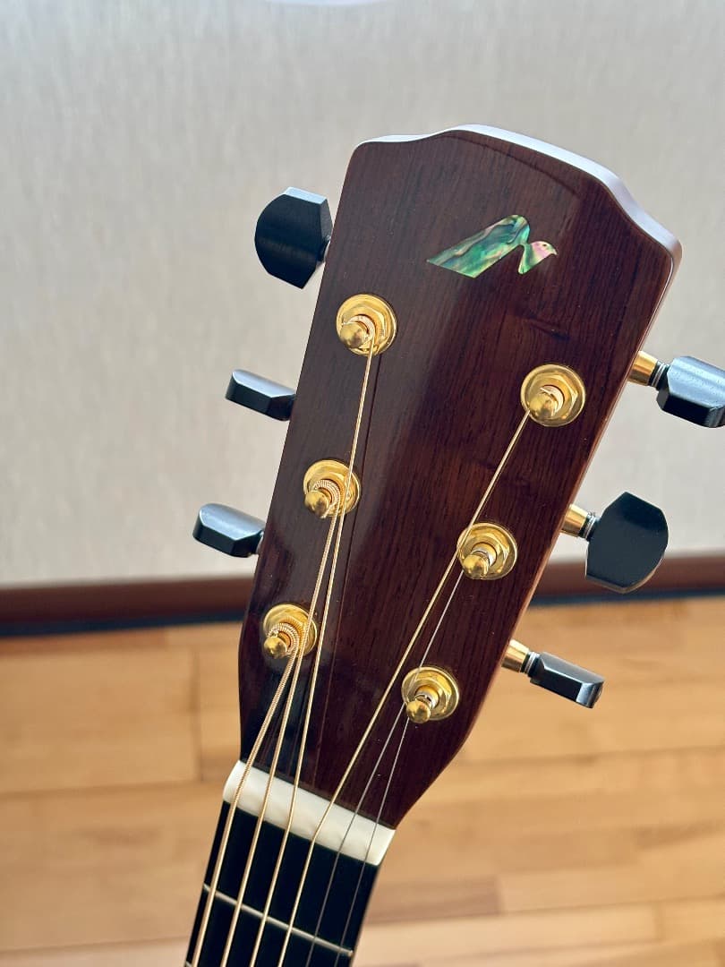 MORRIS GUITARS M-104PDK モーリス