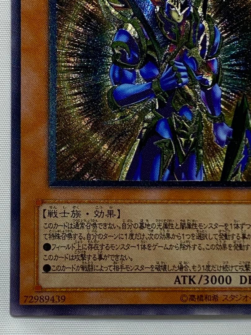 【ほちまる@迅速対応、交渉可専用】 カオス・ソルジャーー開闢の使者、真紅眼の闇竜