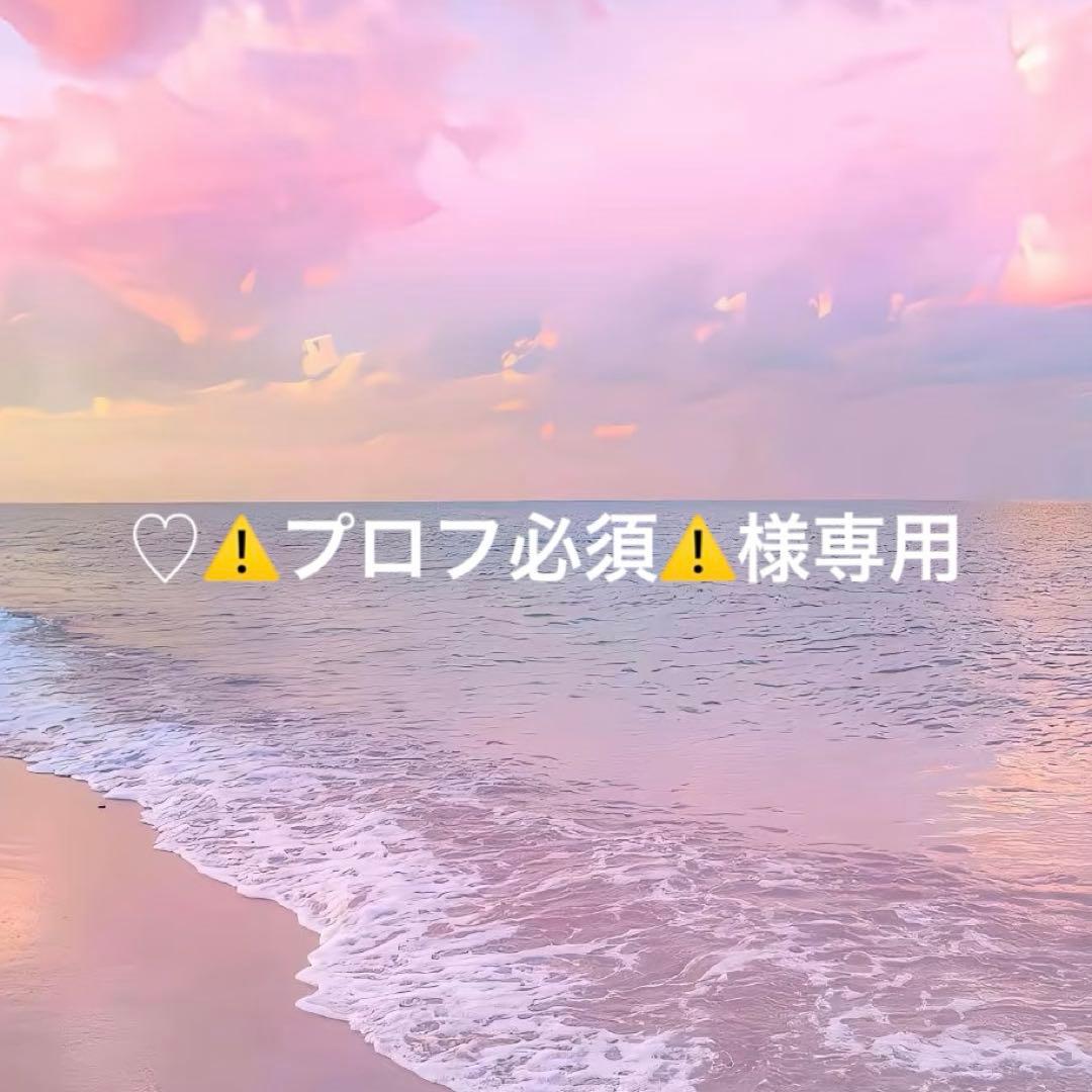 SEVENTEEN MINITEEN プギュリ ぬいぐるみ プラッシュトイ - メルカリ