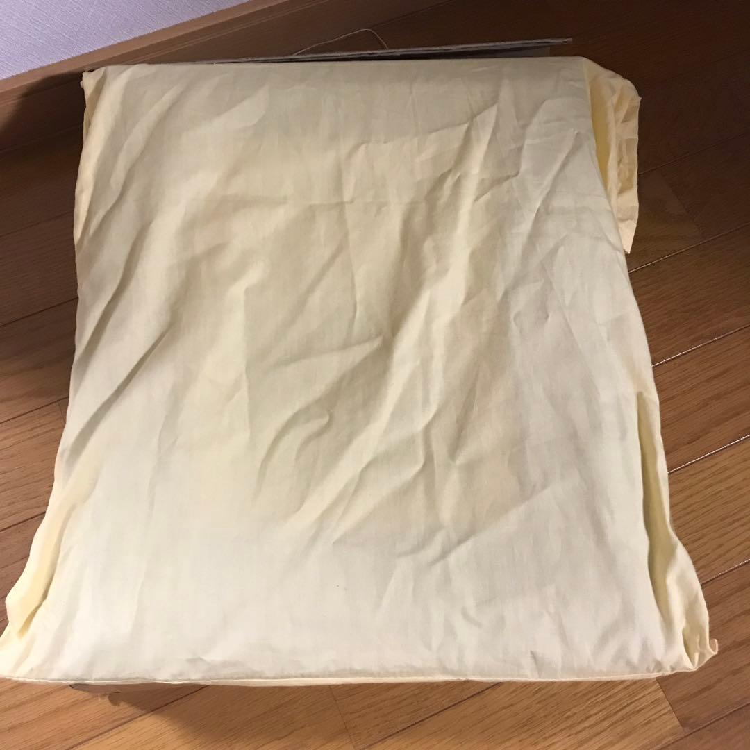 清野清子作 撫子