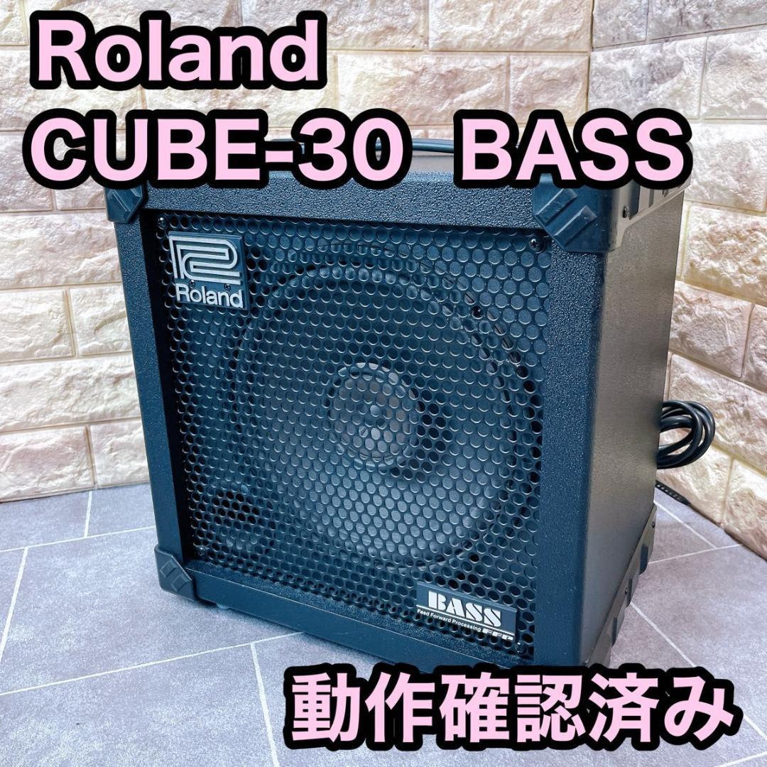 Roland CUBE-30 BASS ベースアンプ