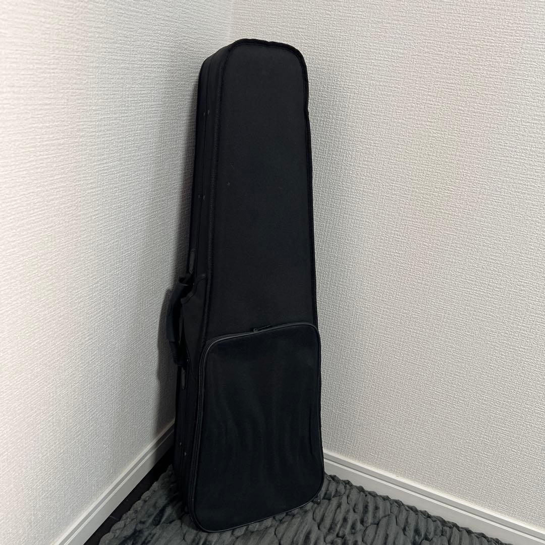 【美品｜ケース付】HALLSTATT ハルシュタット V-12