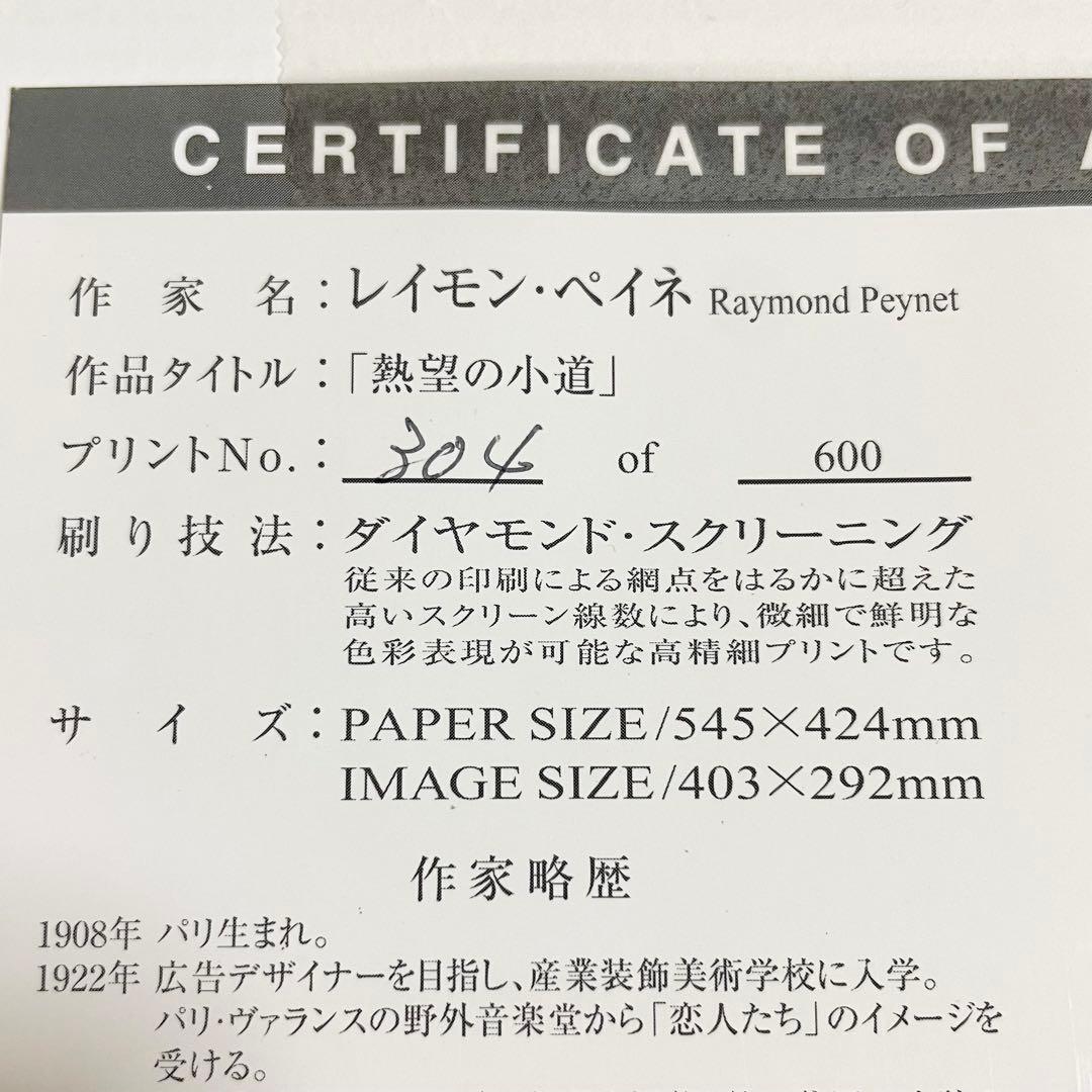 レイモンペイネ 熱望の小道 ダイヤモンド スクリ ニング 額装 304 600