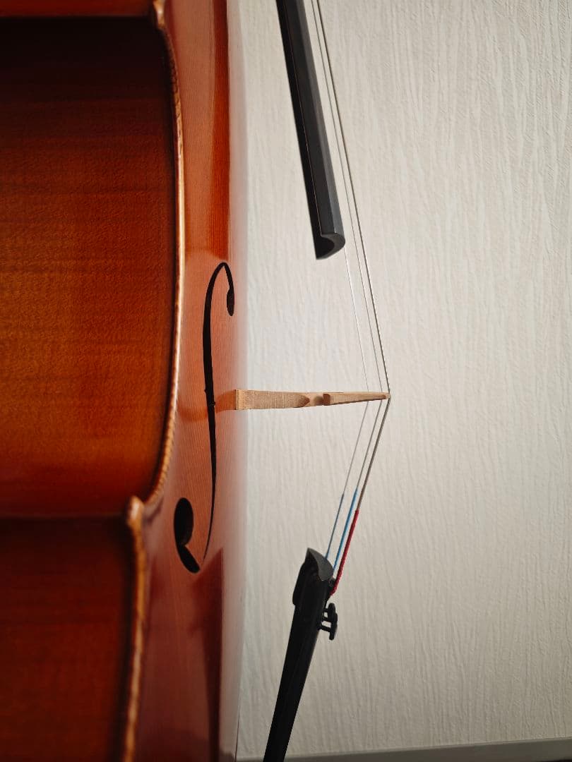 Roderich Paesold No.602 1990年製 チェロ - メルカリ