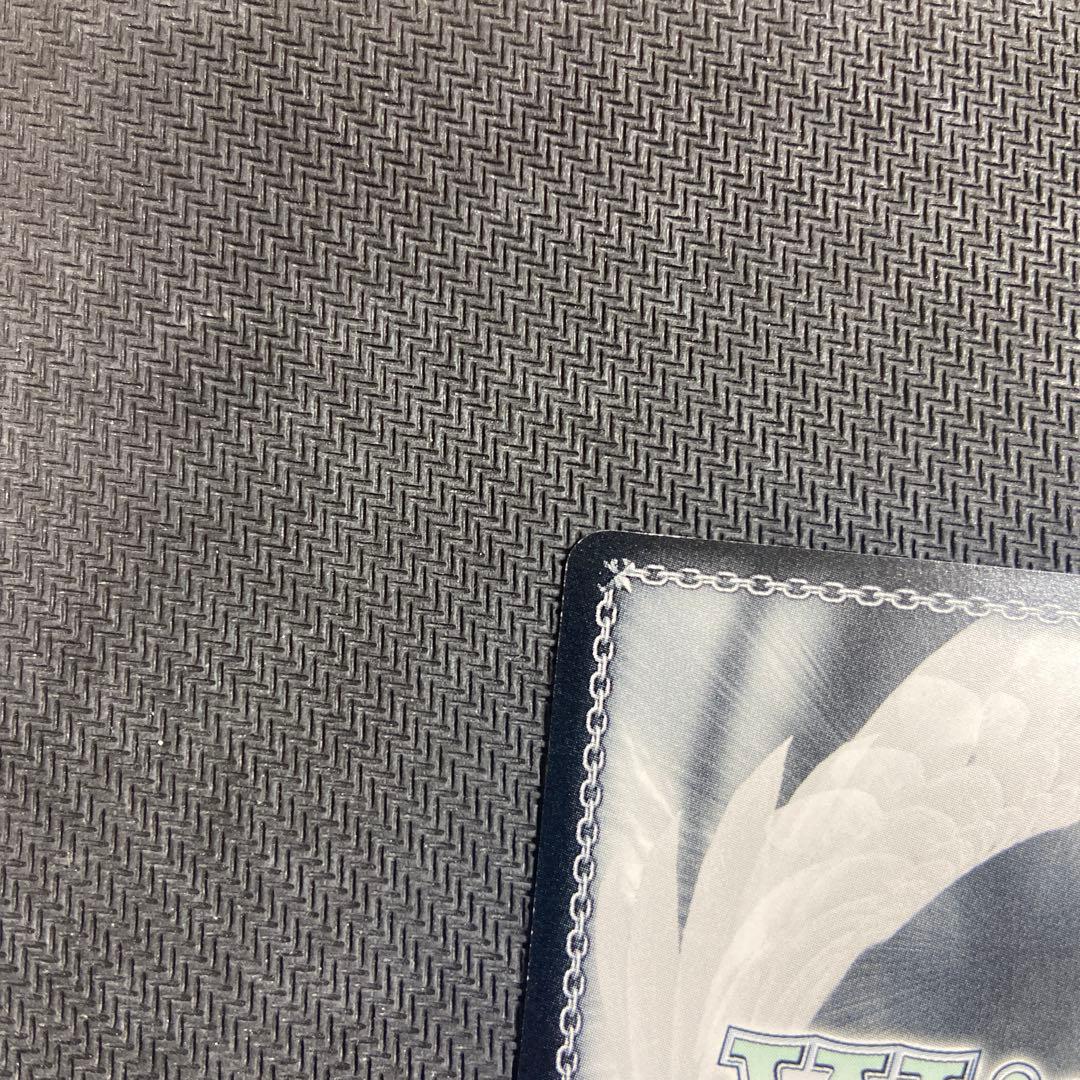 ヴァイス 進撃の巨人　運命への抗い　ミカサ　SP