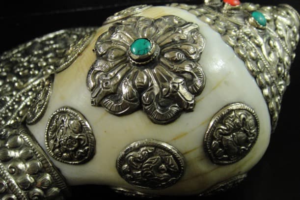 ◇チベット密教法具 法螺貝（シャンカ）