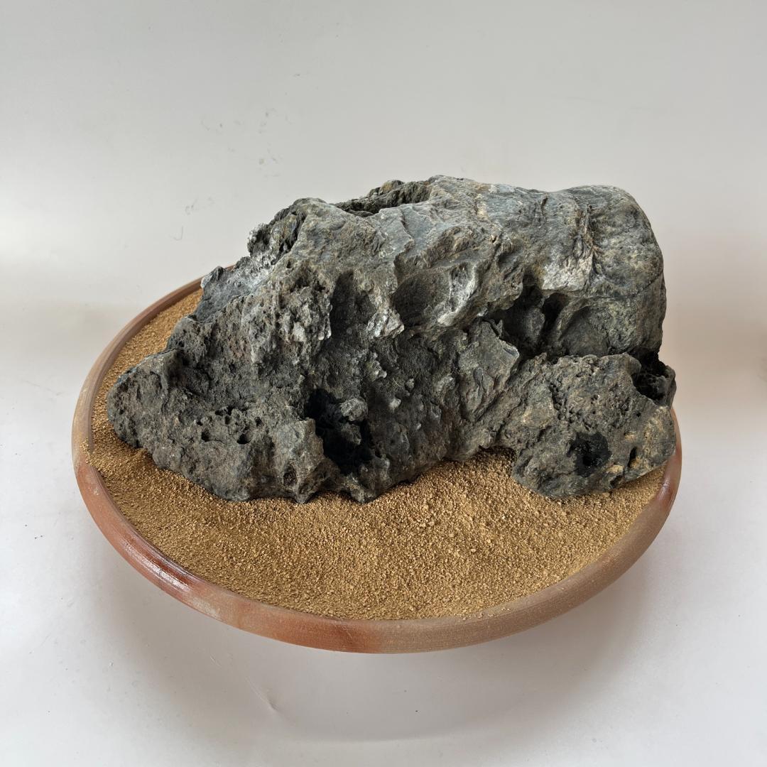 佐治石〈26〉【Taiyoメダカ】