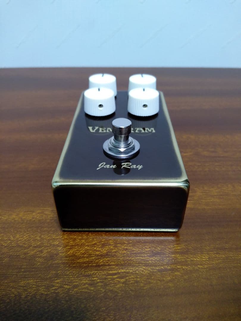 ギター VEMURAM / Jan Ray