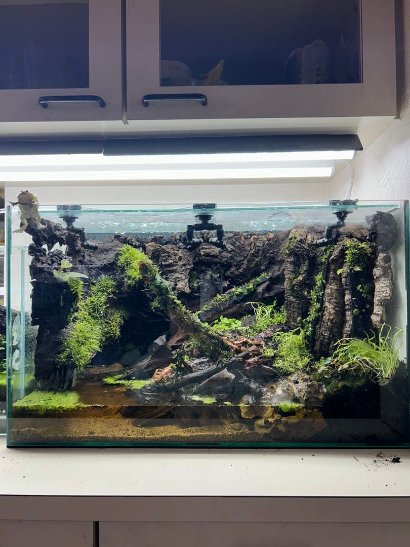 アクアテラリウム水槽 60規格水槽｜大自然 大型60 アクアテラリウム