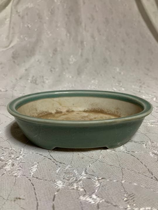 祥山　九谷　楕円　盆栽鉢