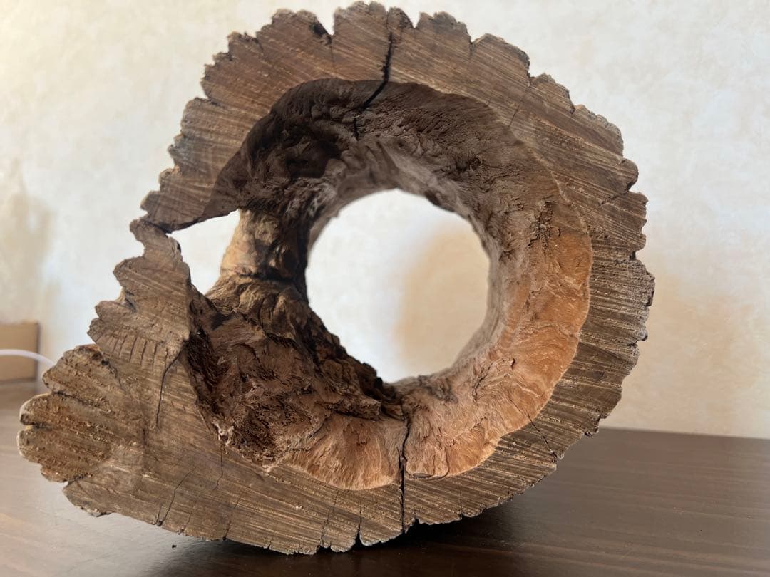 HX-008 流木 空洞 爬虫類 アクアリウム アクアテラリウム 即沈水