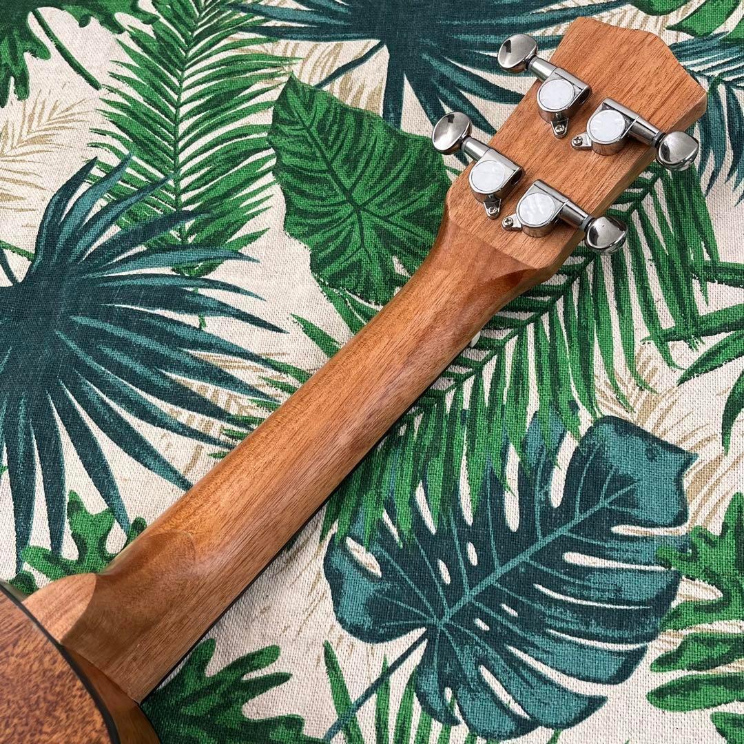 【入門セット】IRINのウォルナット製ソプラノ・ウクレレ【ウクレレ専門店】