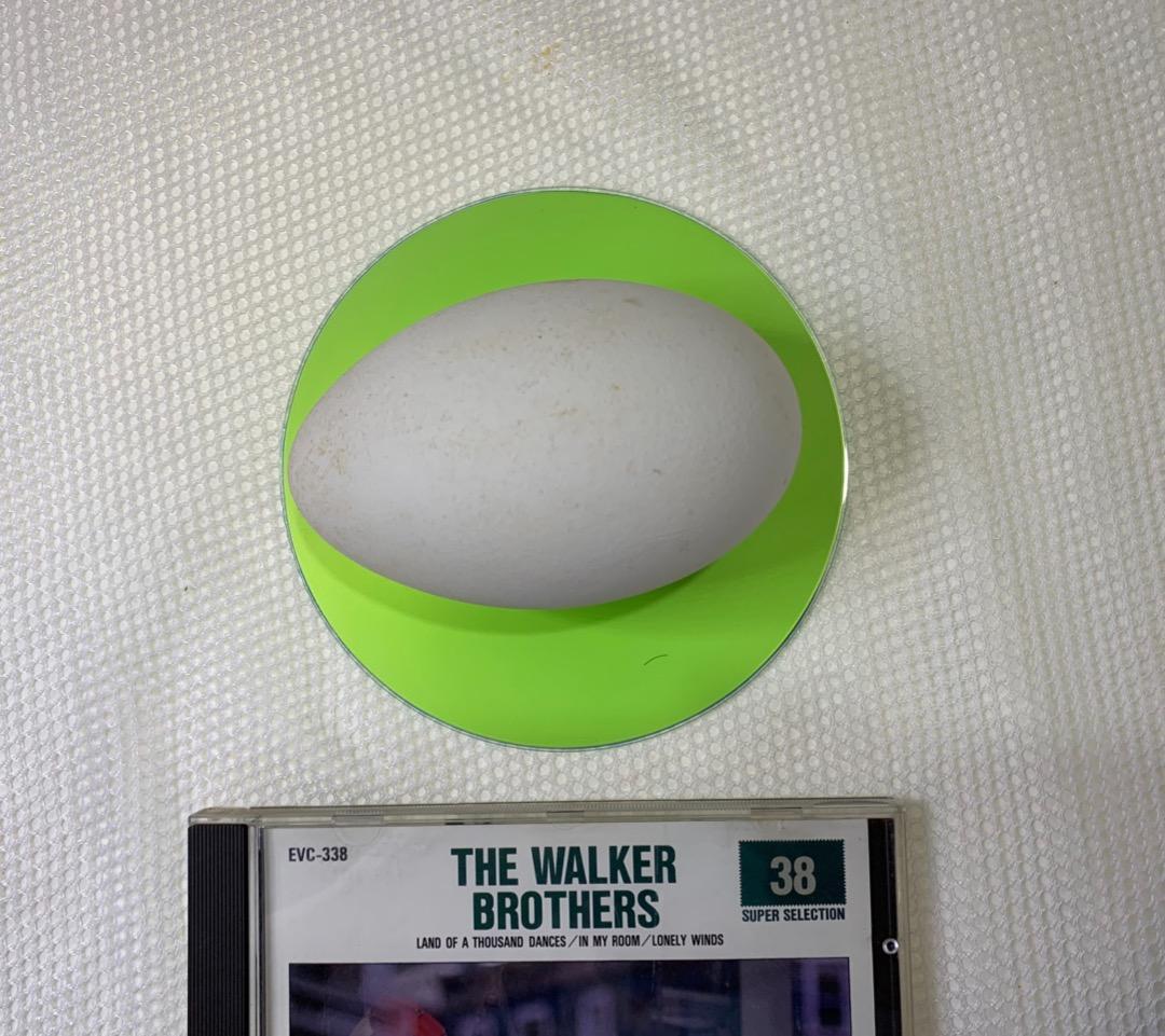 ガチョウの卵の殻 48個 エッグアート用 小売業者 ガチョウの卵の殻