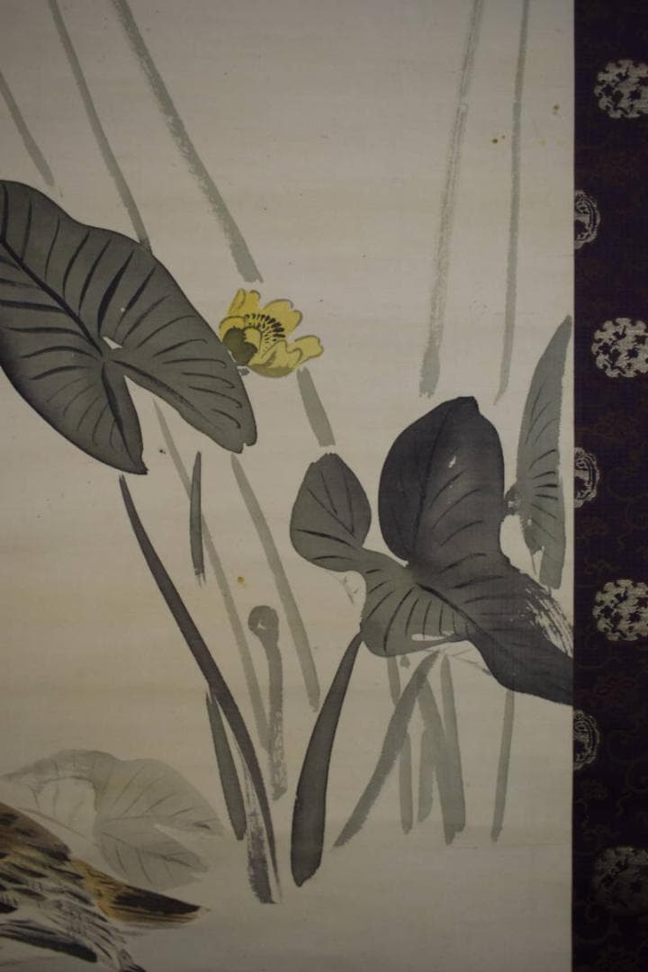 真作/川端玉章/河骨水禽図/河骨水鳥図/絹表装/布袋屋掛軸HI-346