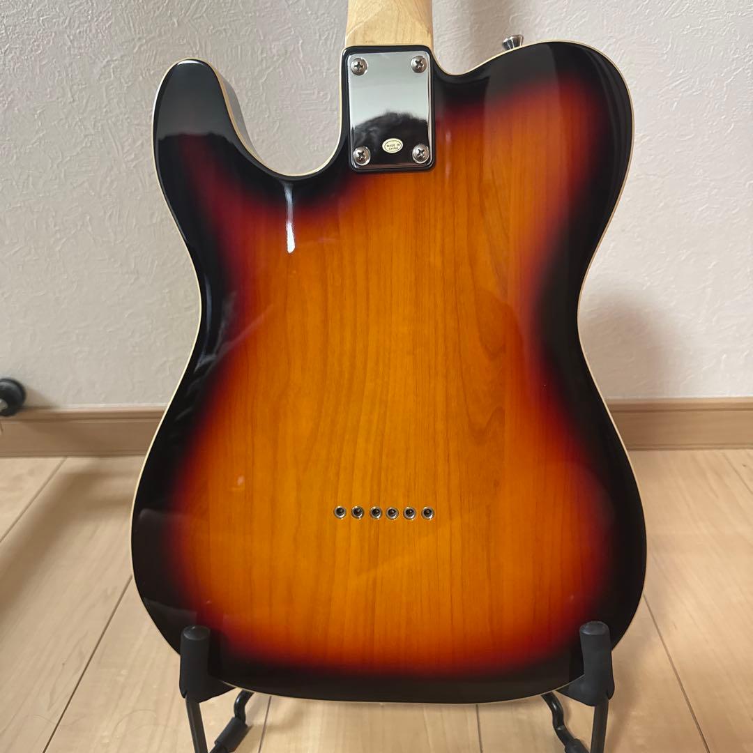 Bacchus テレキャスタータイプ