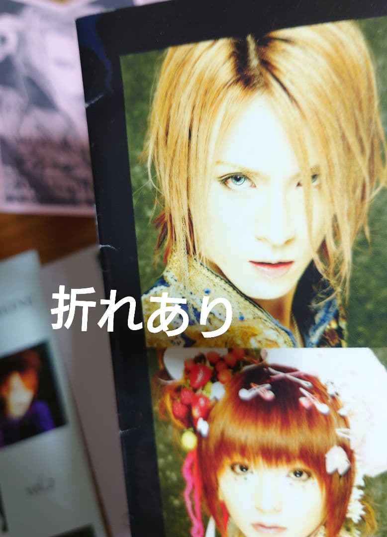 後期LAREINEファンクラブFleur会報セット KAMIJO - メルカリ