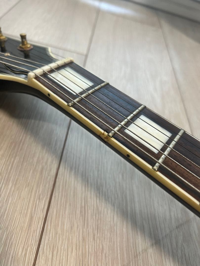 Burny SRLC55 Black フェルナンデス レスポール