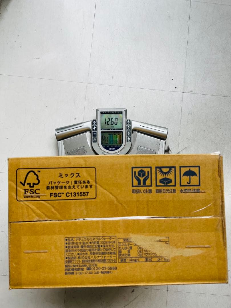 ADA 龍王石　10個セット 12.5kg