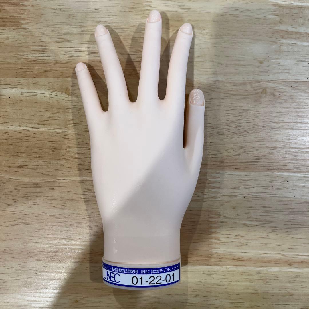 【MOF】JNEC認定 モデルハンド ネイルシート•チップ付き