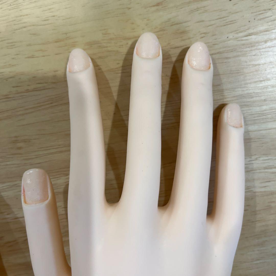 【MOF】JNEC認定 モデルハンド ネイルシート•チップ付き