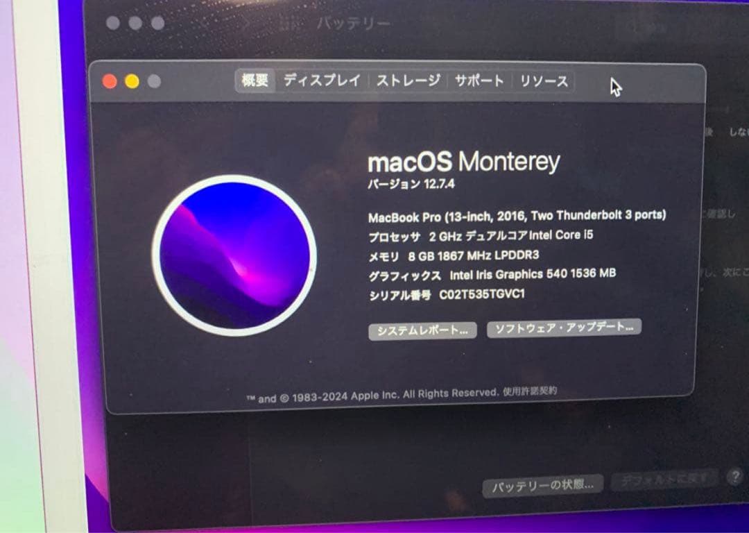 ジャンク】MacBook Pro 13インチ2016 8GB256GB画面不良 - メルカリ