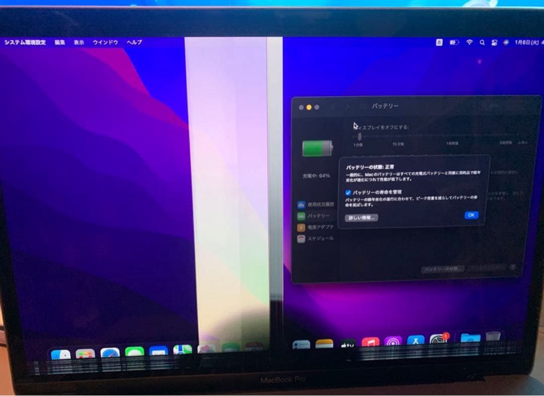 ジャンク】MacBook Pro 13インチ2016 8GB256GB画面不良 - メルカリ